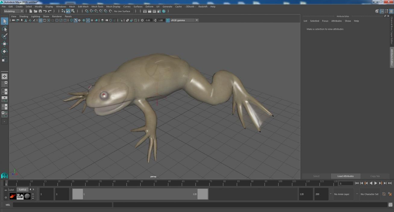 3D Xenopus African Clawed Toad Standard Pose