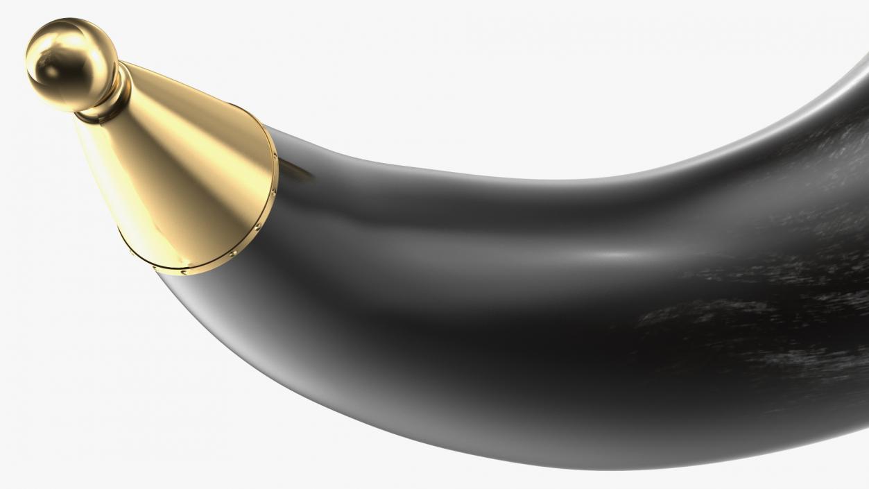 Old Drinking Horns Collection 3D model