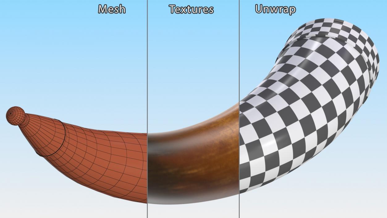 Old Drinking Horns Collection 3D model