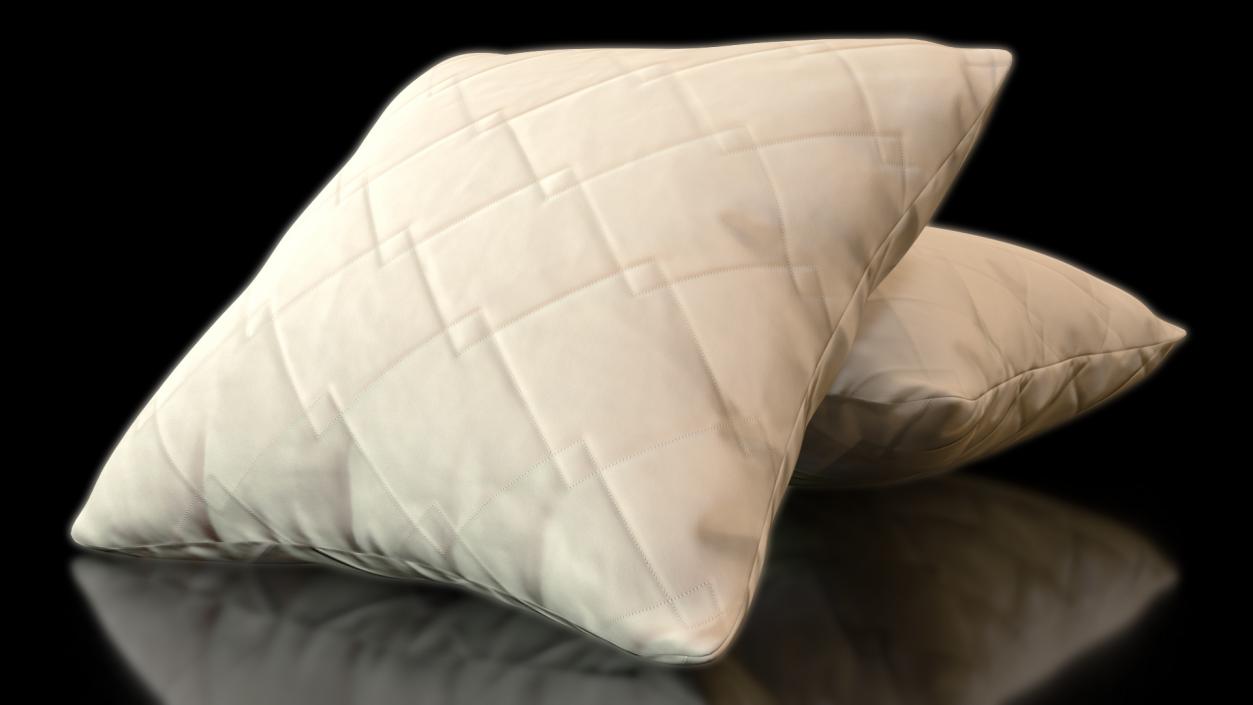 Pillow with Geometric Pattern 50cm 3D model