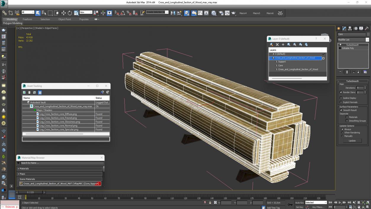 3D Cross and Longitudinal Section of Wood model