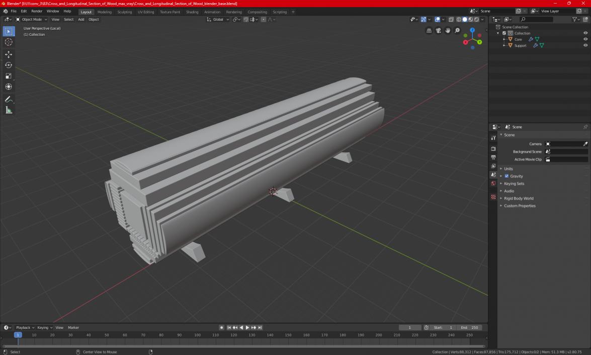 3D Cross and Longitudinal Section of Wood model