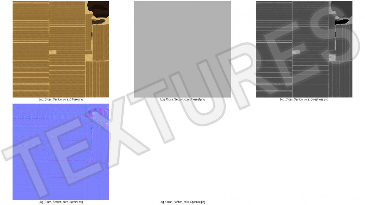 3D Cross and Longitudinal Section of Wood model