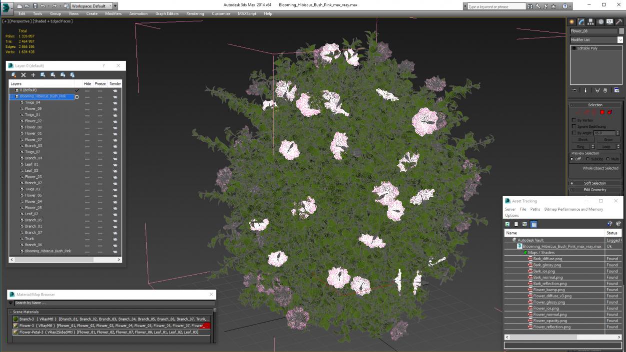 Blooming Hibiscus Bush Pink 3D