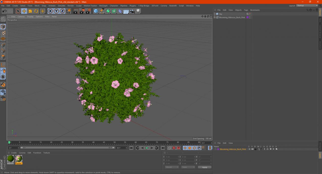 Blooming Hibiscus Bush Pink 3D