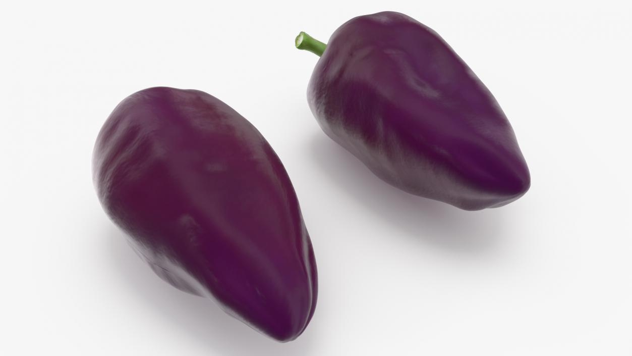 3D Purple Pepper Marconi