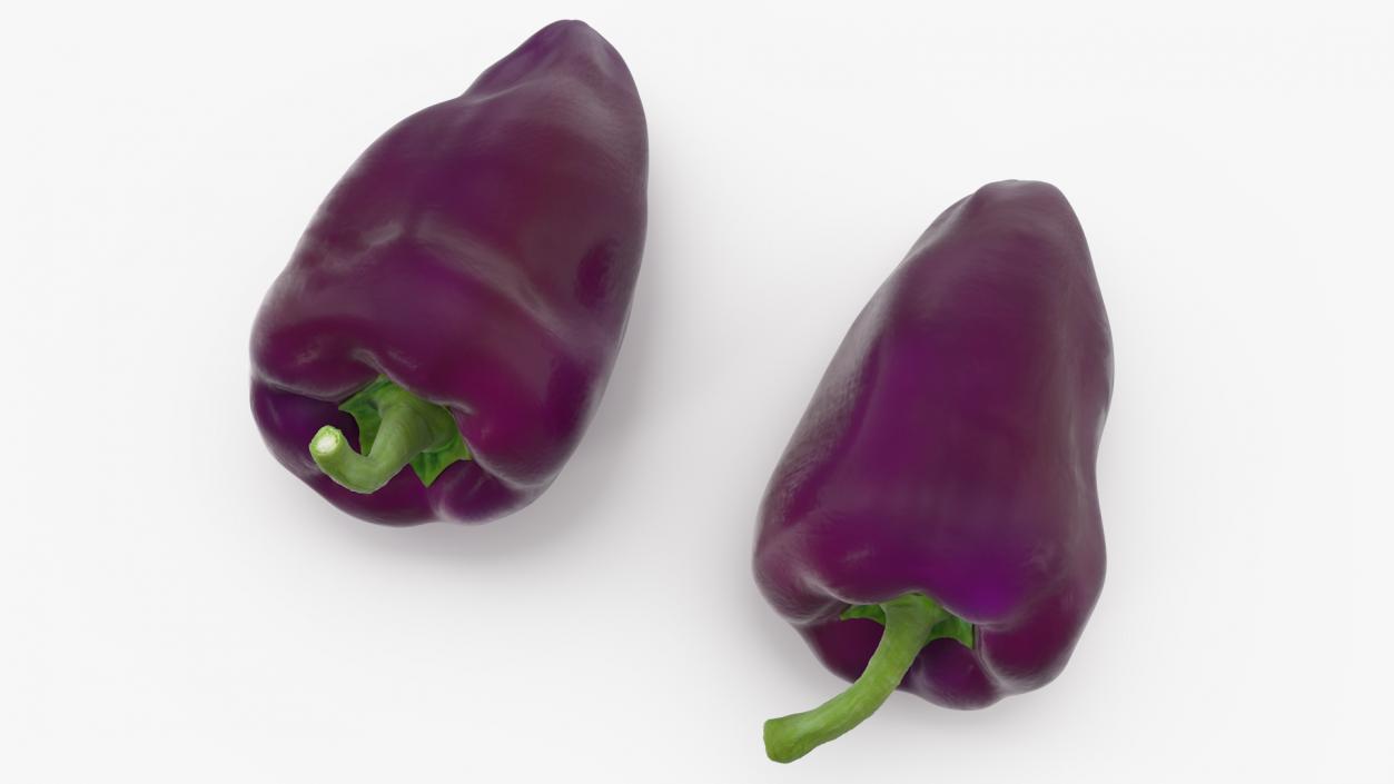 3D Purple Pepper Marconi