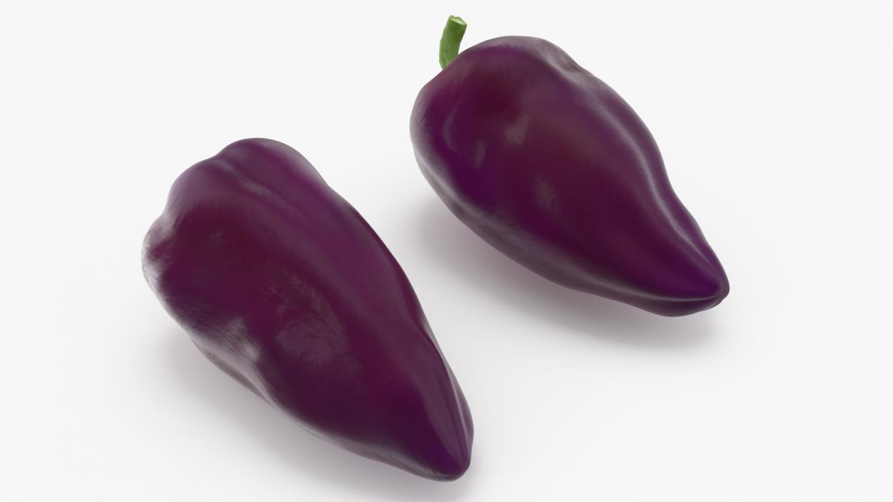 3D Purple Pepper Marconi