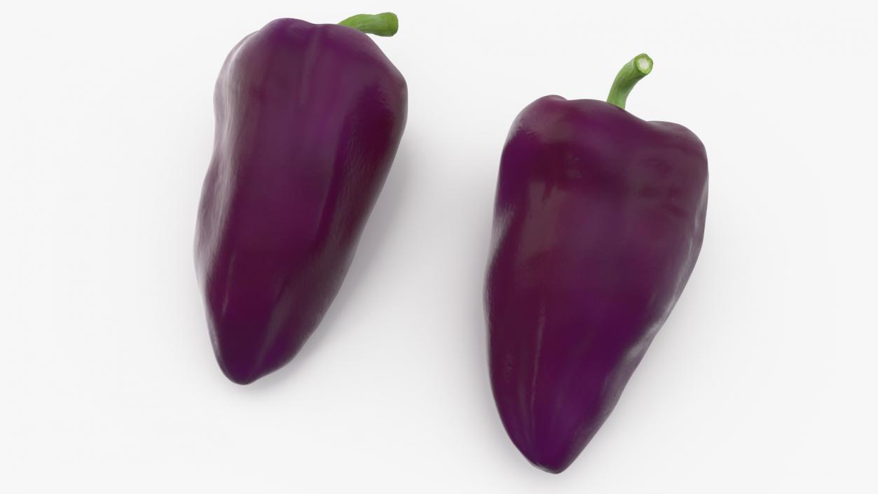 3D Purple Pepper Marconi