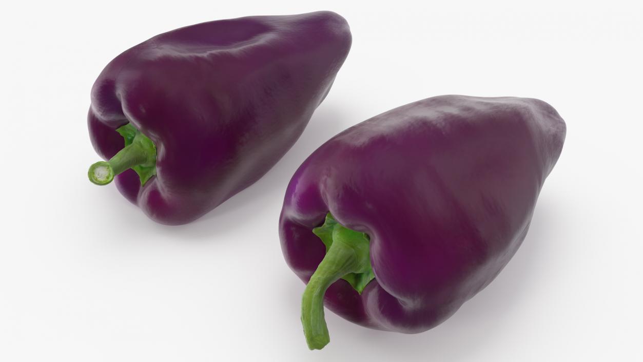 3D Purple Pepper Marconi