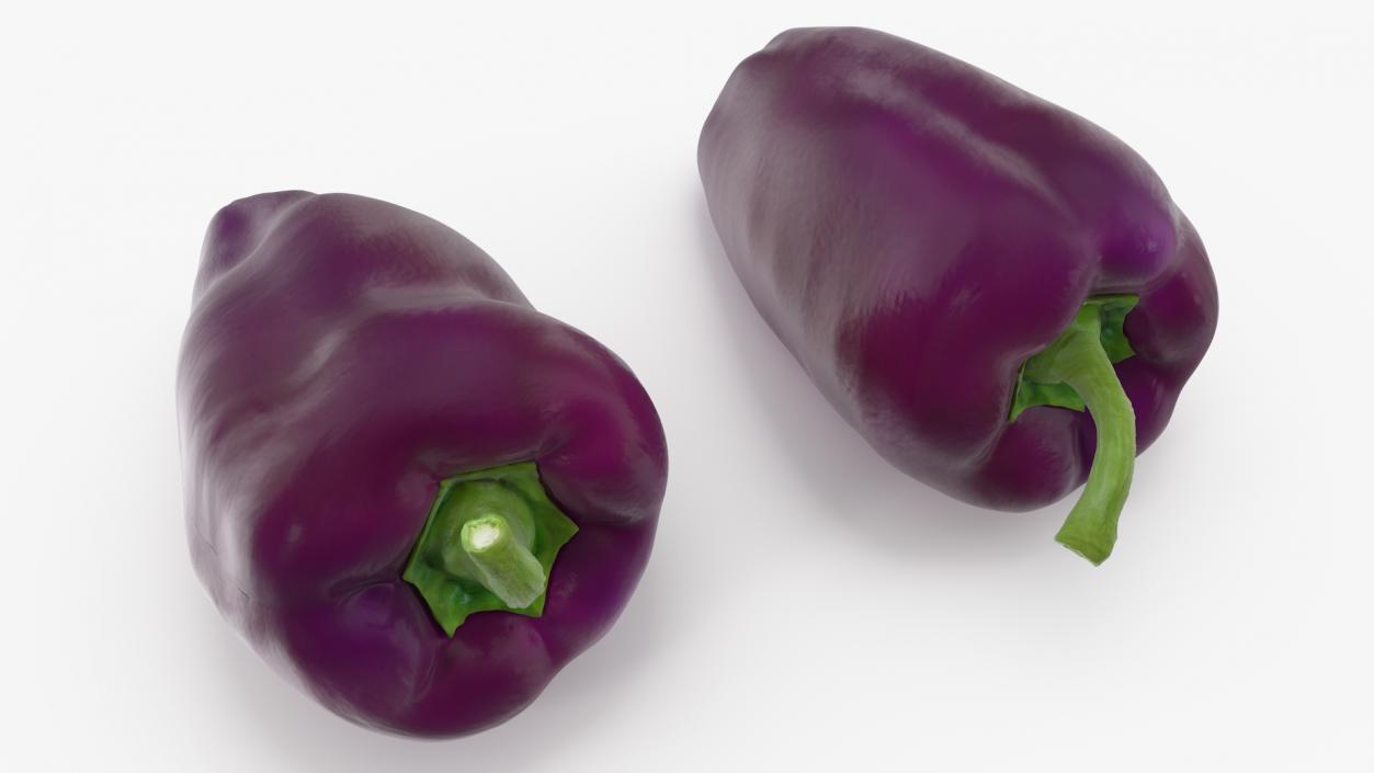 3D Purple Pepper Marconi