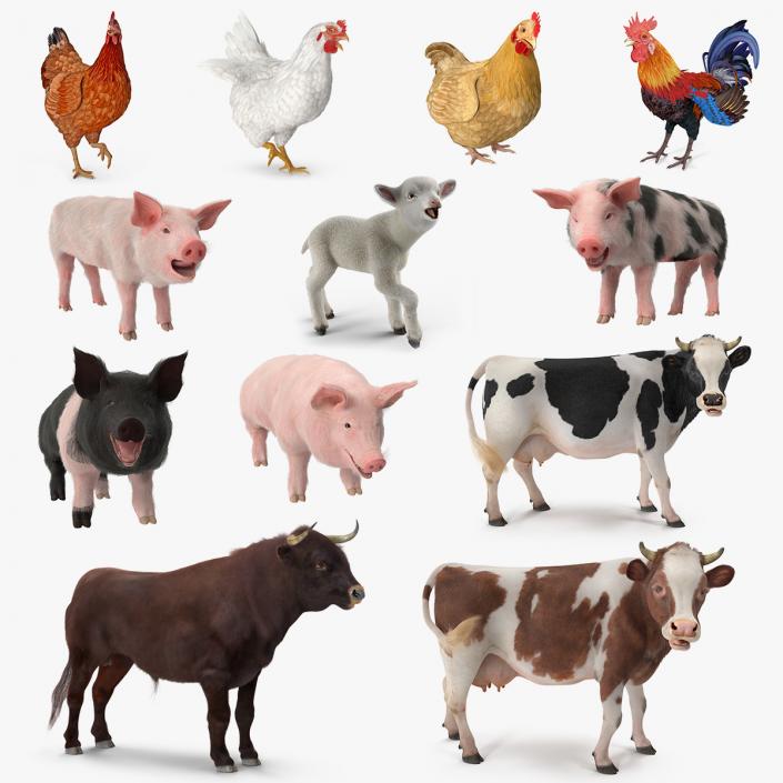 Rigged Farm Animals Big 3D Models Collection 3D model