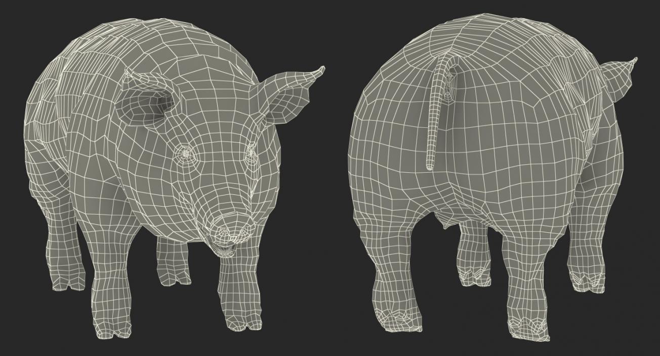 Rigged Farm Animals Big 3D Models Collection 3D model