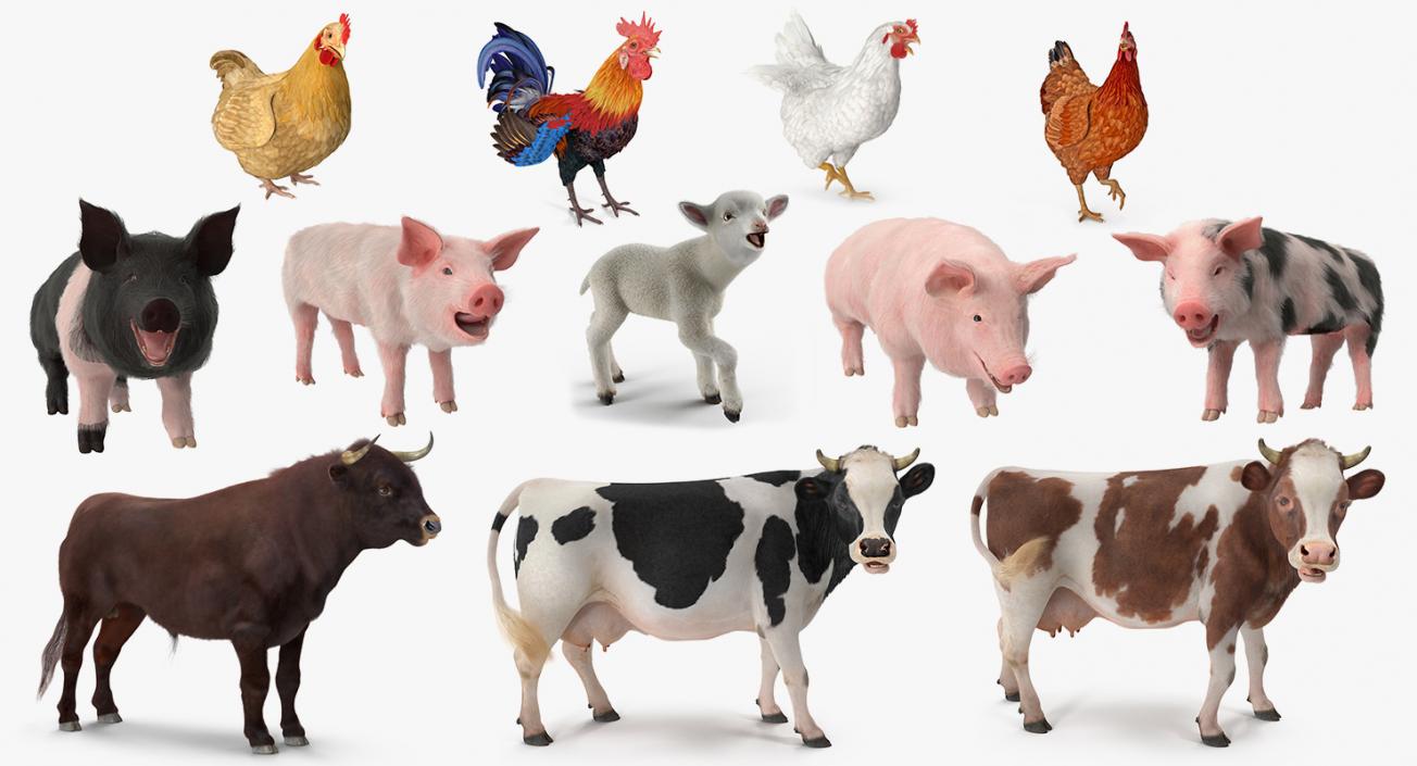 Rigged Farm Animals Big 3D Models Collection 3D model