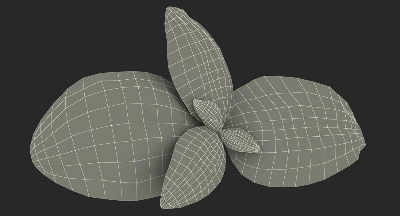 3D model Leaves Collection 11