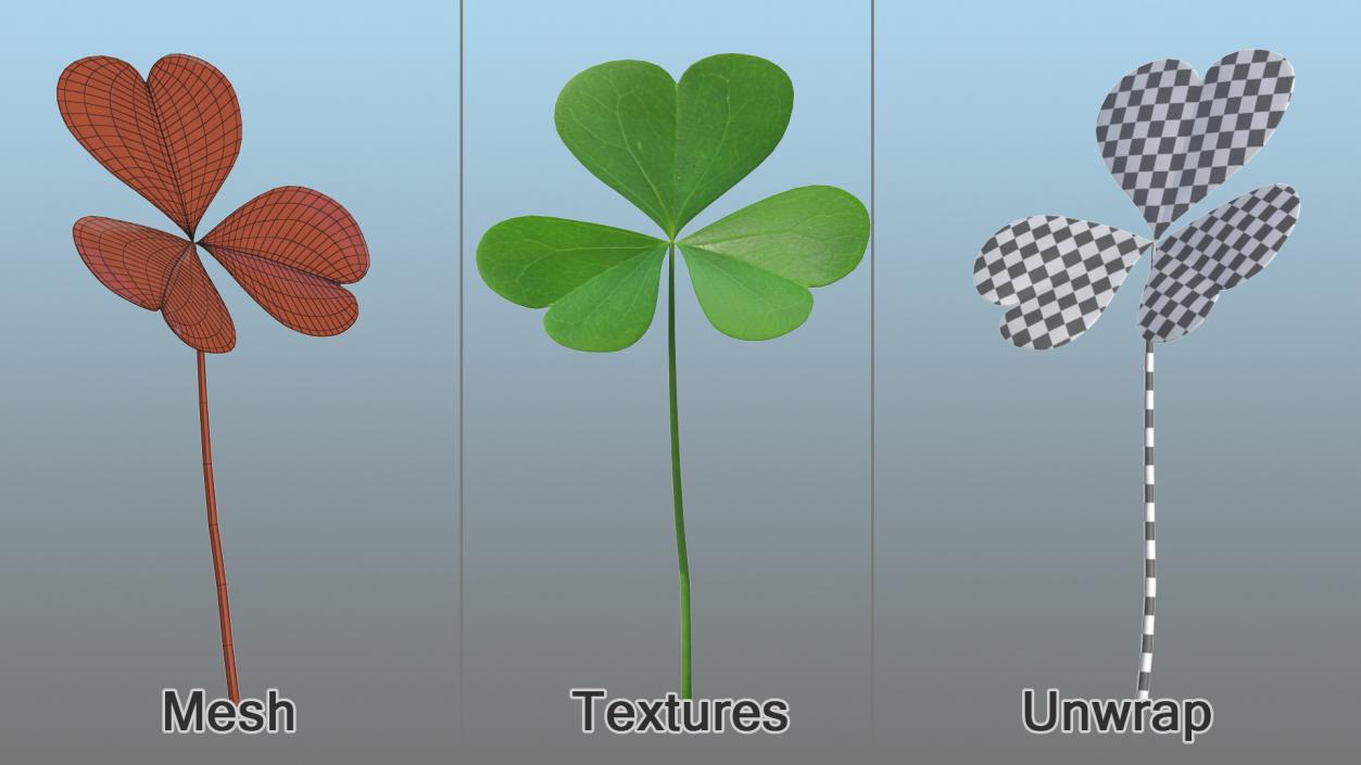 3D model Leaves Collection 11