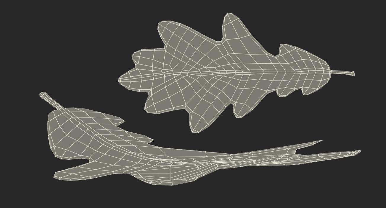 3D model Leaves Collection 11