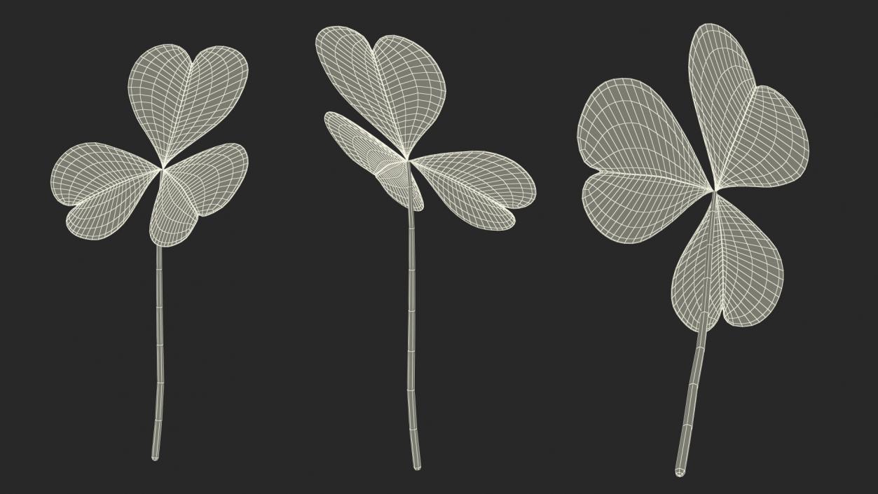 3D model Leaves Collection 11