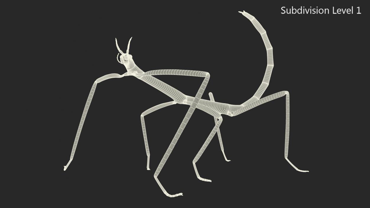 3D model Stick Insect Brown Rigged