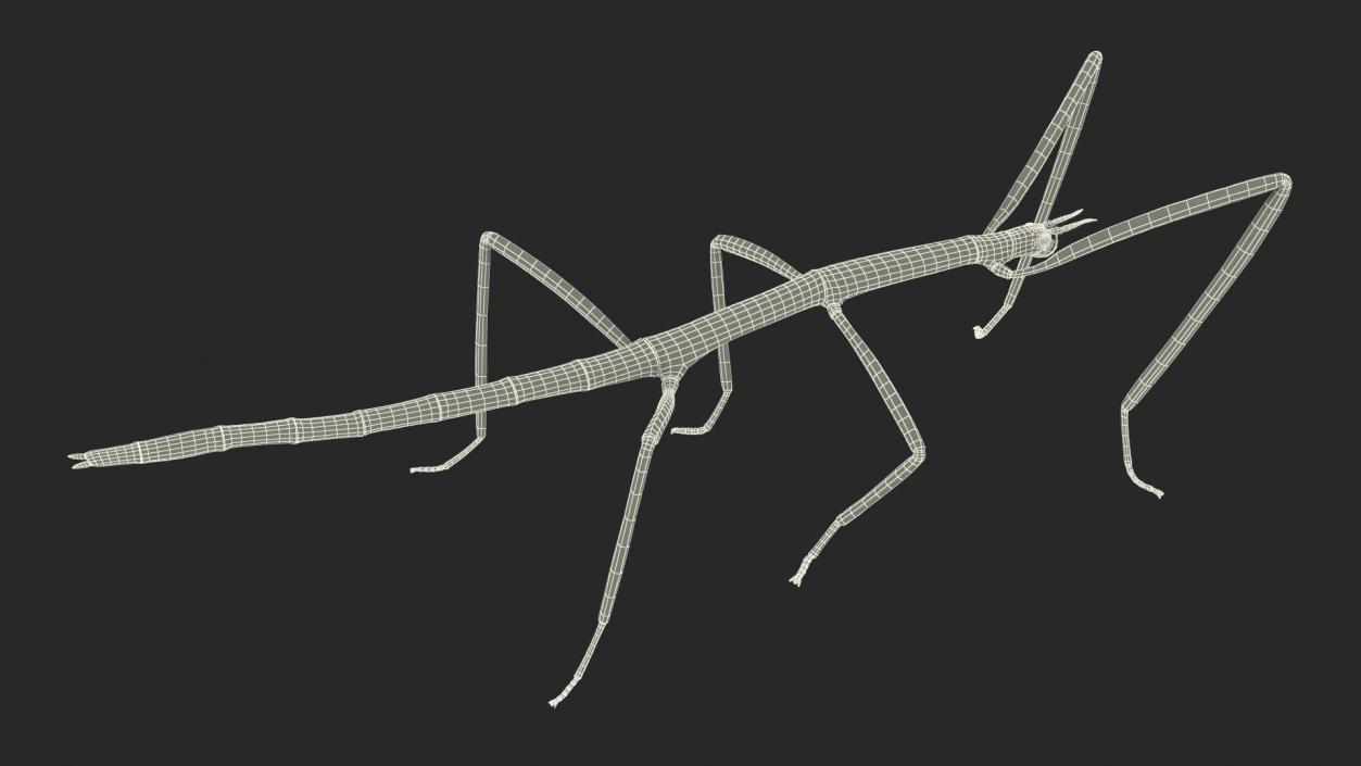 3D model Stick Insect Brown Rigged