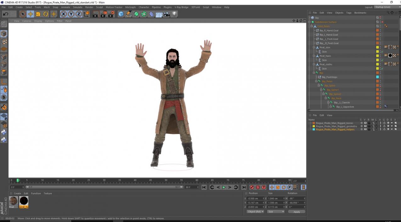 Rogue Pirate Man Rigged for Cinema 4D 3D