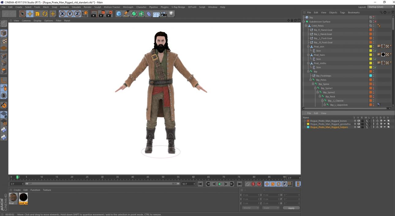 Rogue Pirate Man Rigged for Cinema 4D 3D