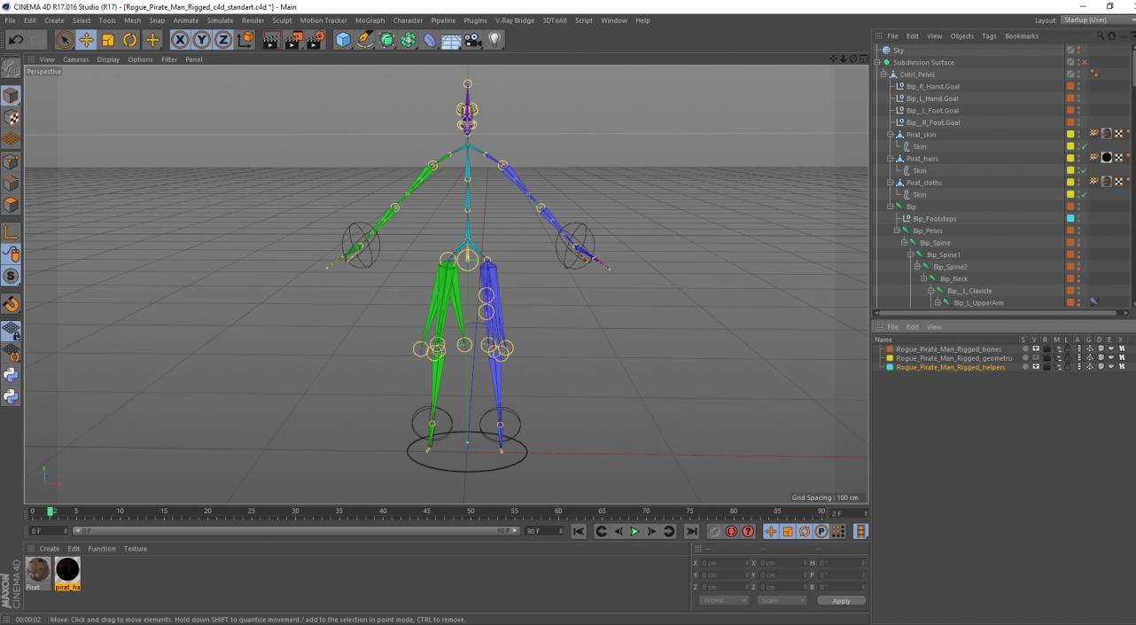 Rogue Pirate Man Rigged for Cinema 4D 3D