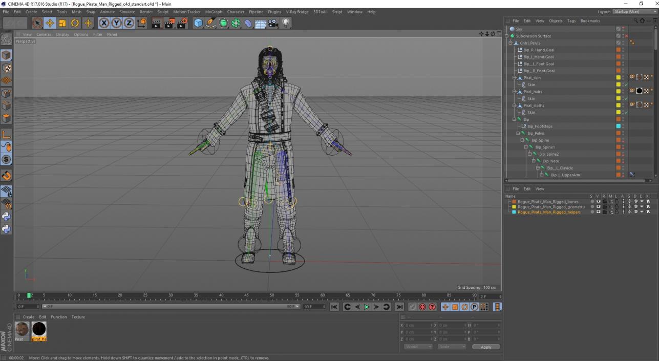 Rogue Pirate Man Rigged for Cinema 4D 3D