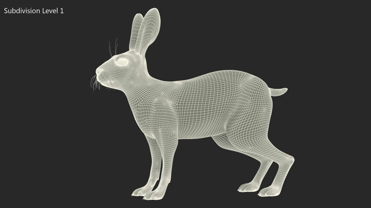 Winter Jackrabbit Rigged 3D model