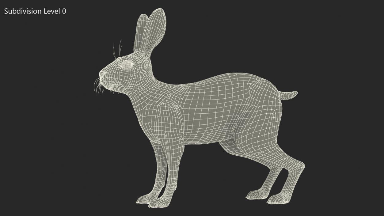 Winter Jackrabbit Rigged 3D model