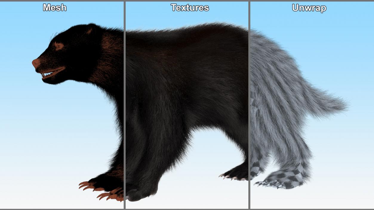 Land Mammals Fur Collection 3D