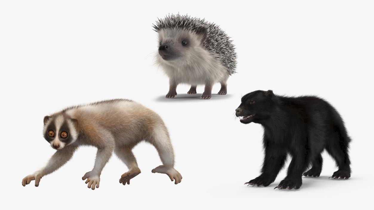 Land Mammals Fur Collection 3D