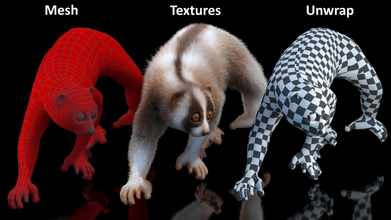 Land Mammals Fur Collection 3D