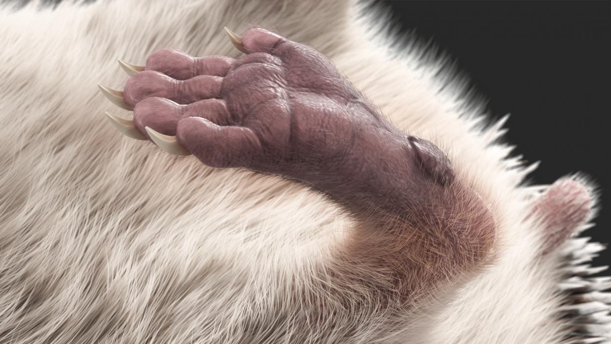 Land Mammals Fur Collection 3D