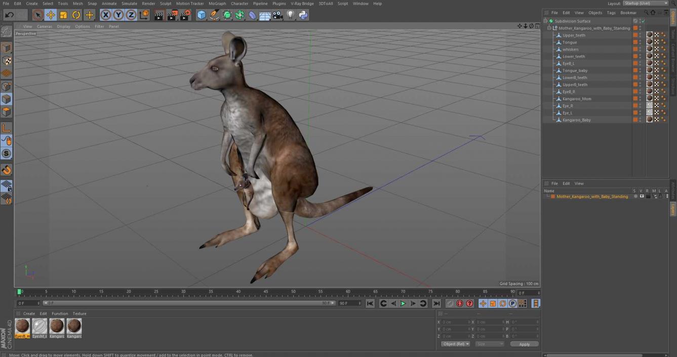 3D Mother Kangaroo with Baby Standing 2