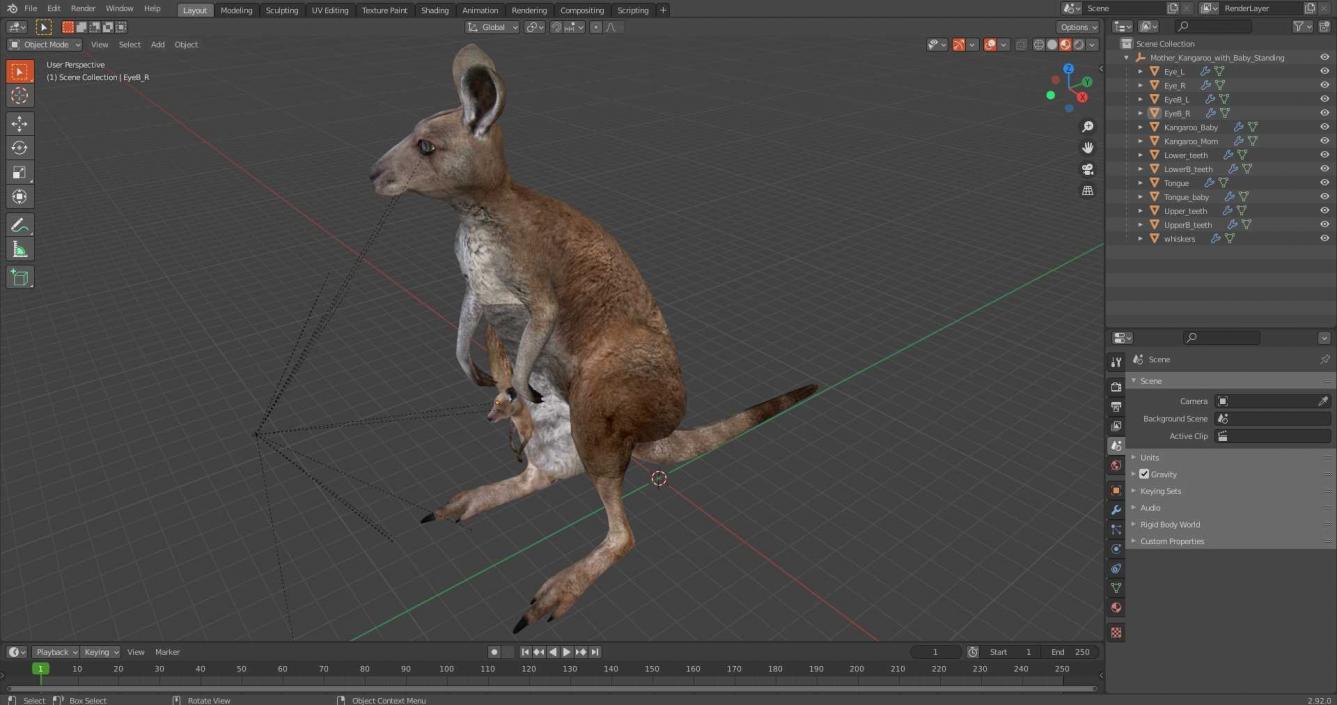 3D Mother Kangaroo with Baby Standing 2