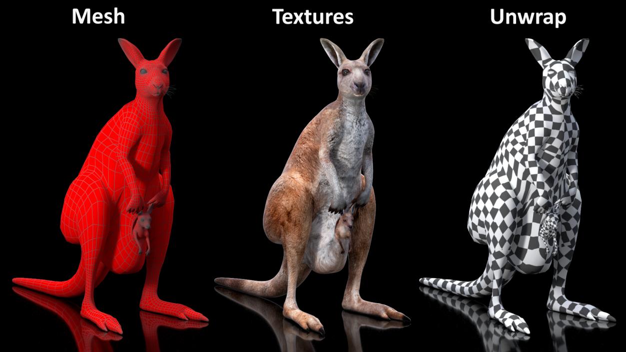 3D Mother Kangaroo with Baby Standing 2