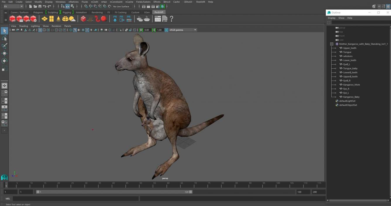 3D Mother Kangaroo with Baby Standing 2