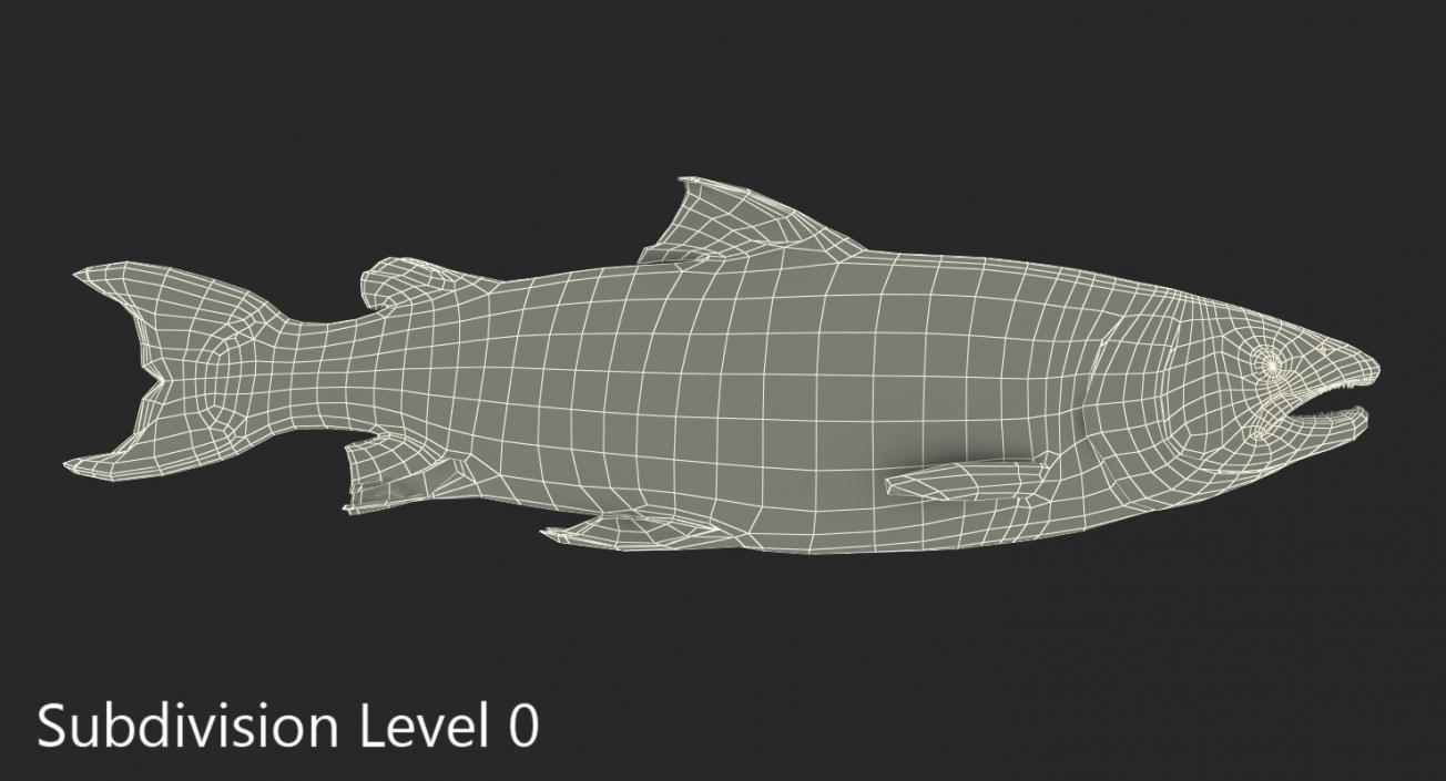 Atlantic Salmon Fish Lying on the Floor 3D model