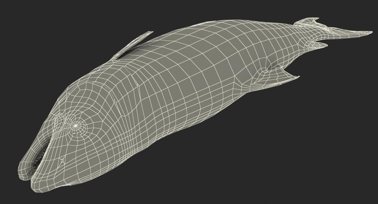 Atlantic Salmon Fish Lying on the Floor 3D model