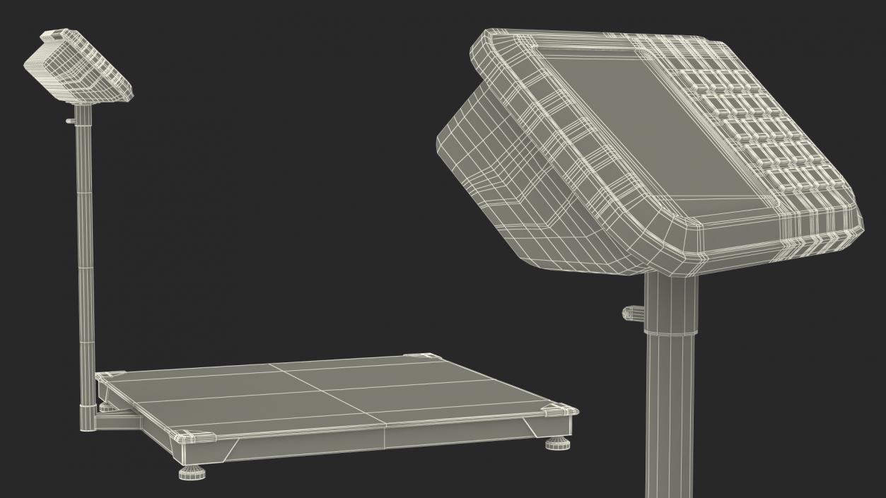 Warehouse Scale with Plastic Pallet and Parcels 3D