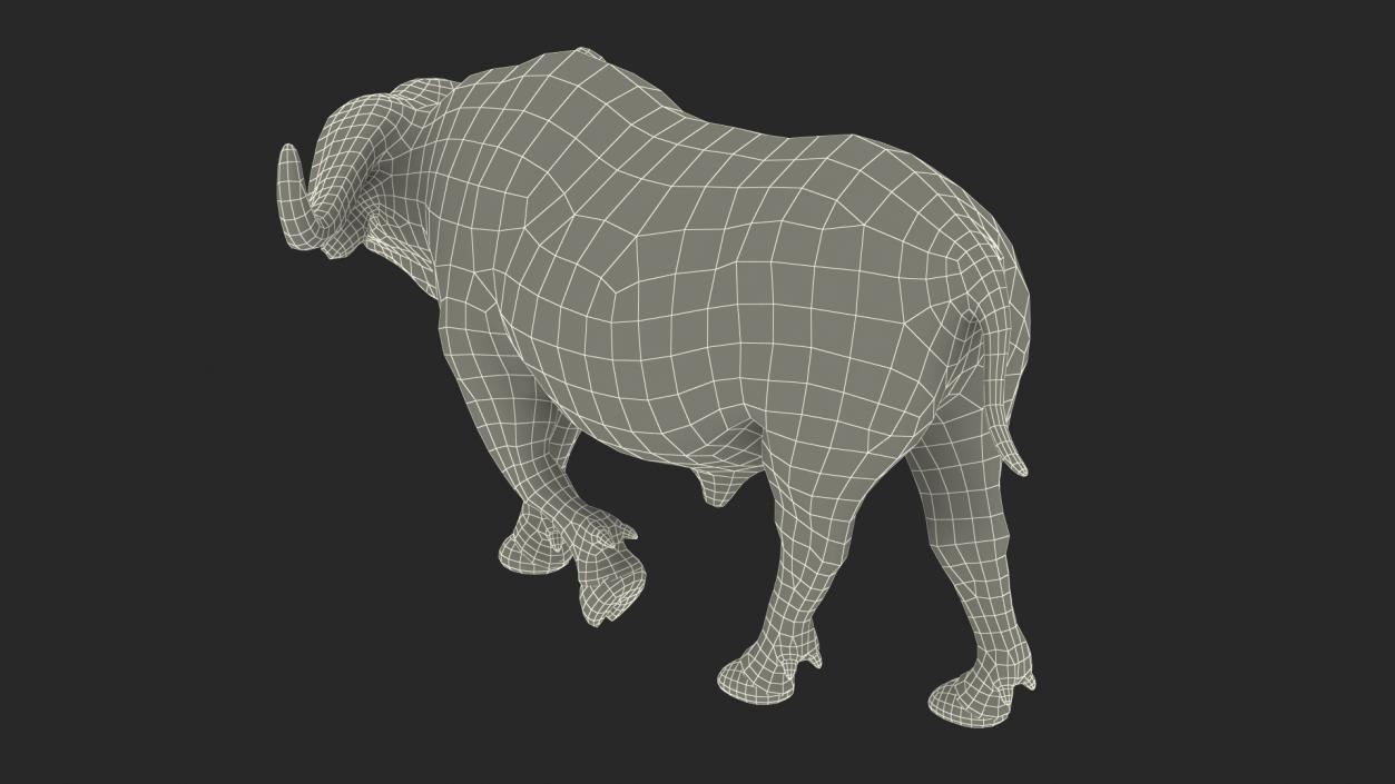 3D African Buffalo Walking Pose model