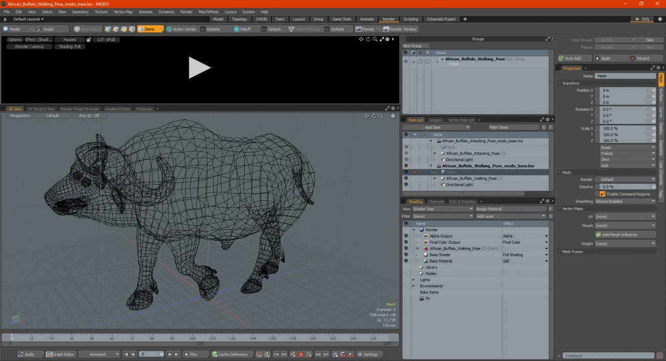 3D African Buffalo Walking Pose model