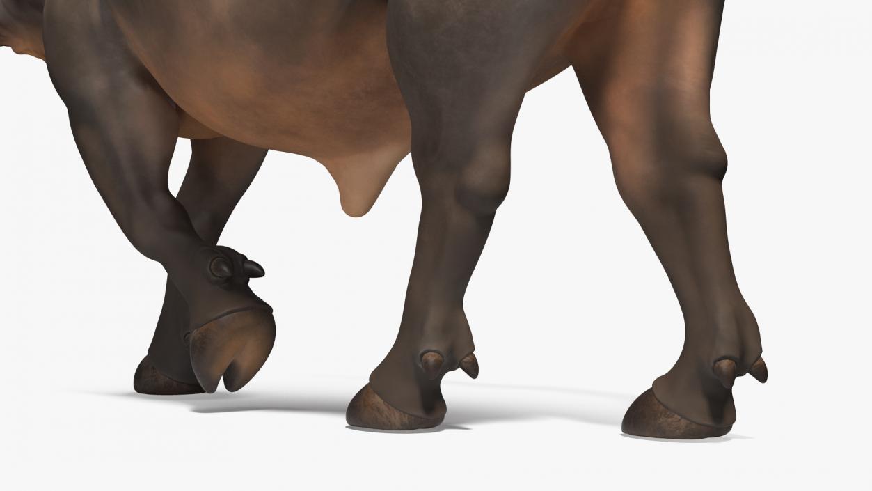 3D African Buffalo Walking Pose model