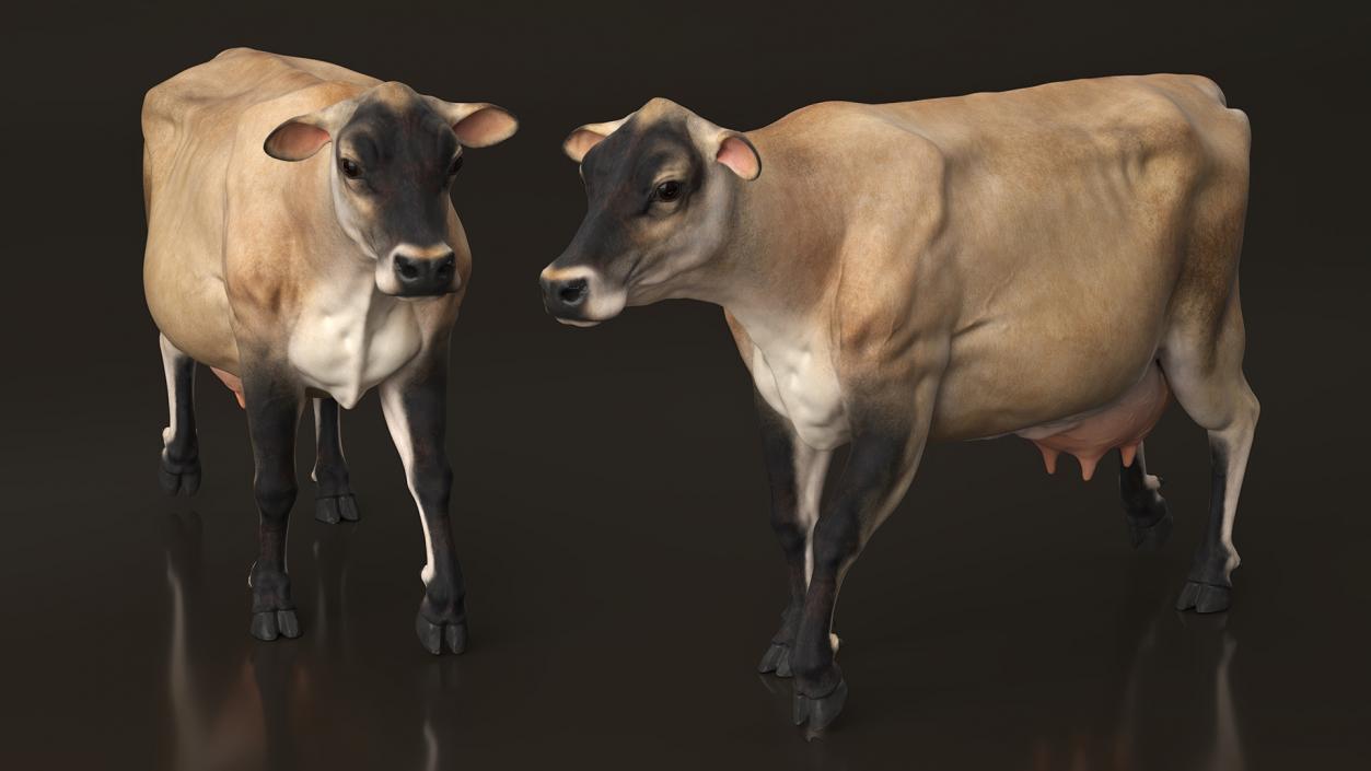 Mini Cow Goes Beige 3D model