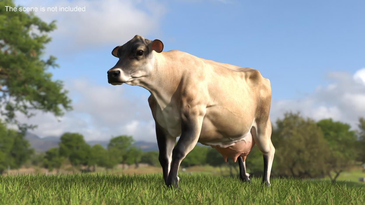 Mini Cow Goes Beige 3D model