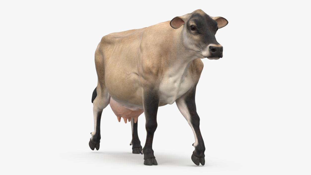 Mini Cow Goes Beige 3D model