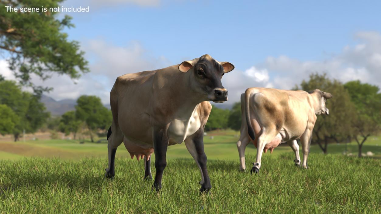 Mini Cow Goes Beige 3D model