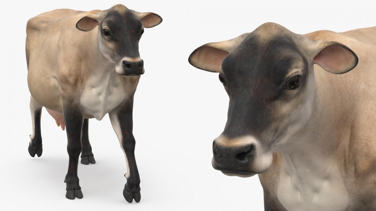 Mini Cow Goes Beige 3D model