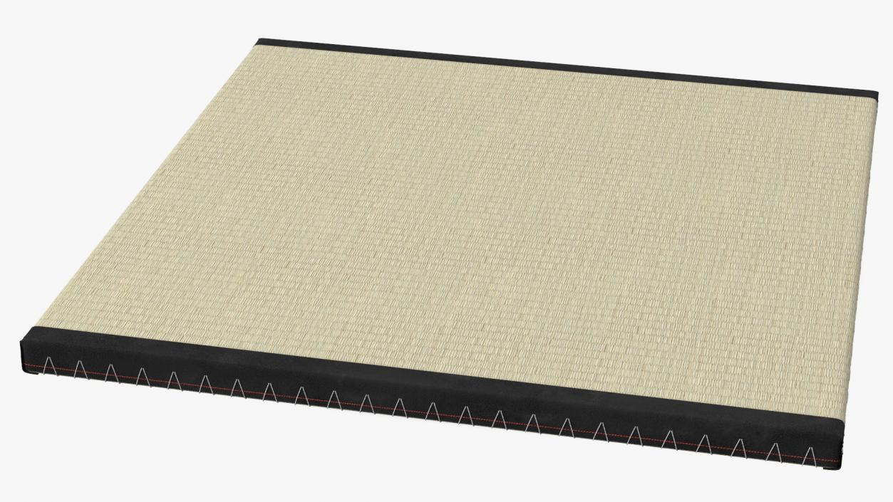 3D model Traditional Tatami Straw Mat Square